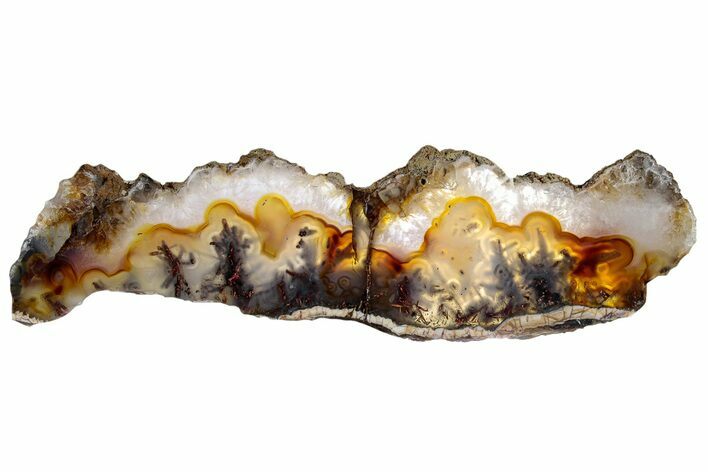 Polished Trent Agate With Stibnite & Realgar - Oregon #302887